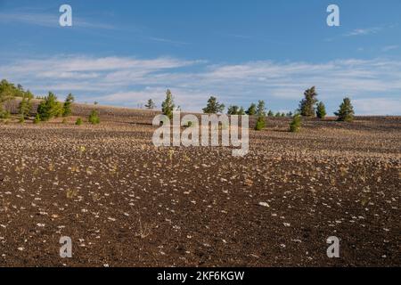 Photograph from the Craters of the Moon National Monument near Arco, Idaho, USA. Stock Photo