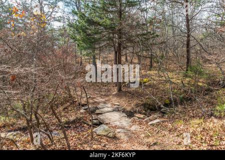 A trail through the woodlands with a natural stone bridge put across a small creek surrounded by plants and trees in autumn Stock Photo