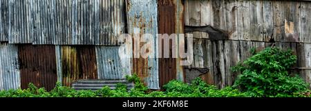 Background banner images - rusty corrugated iron and old wood, overgrown with weeds, United Kingdom Stock Photo