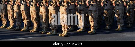 Soldiers standing in row in camouflage uniforms Stock Photo