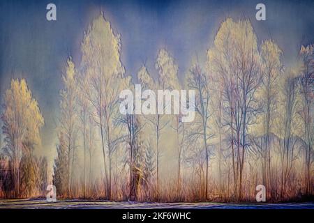 CONTEMPORARY ART: Winter in the Loisach Moor, Oberbayern, Germany Stock Photo