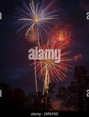 Several exploding fireworks in an evening sky, during a celebration display on the  4th of July. Stock Photo