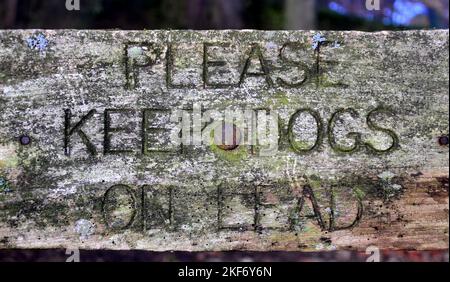 Sign 'Please keep dogs on lead' carved into wood Stock Photo