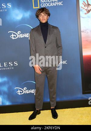 New York City, NY, 15/11/2022,Gavin Casalegno attending the 'Limitless' with Chris Hemsworth Premiere held at Jazz At Lincoln Center on November 15, 2022 in New York City, NY ©Steven Bergman/AFF-USA.COM Stock Photo