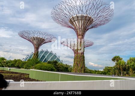 Super trees at Gardens by the Bay, Singapore. The tree-like structures are fitted with environmental technologies that mimic the ecological function Stock Photo