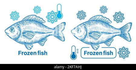 Fresh frozen fish, freezing seafood in ice, cold water carp in refrigerator. Cooling river animal meat at frost temperature. Sea food vector drawing Stock Vector