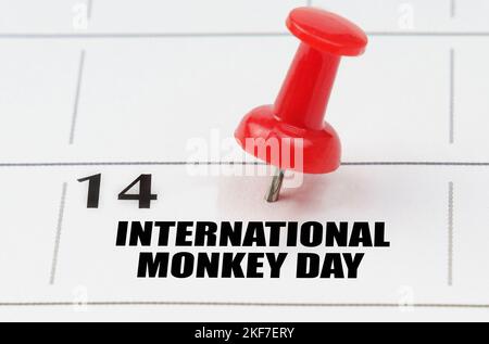 International holidays. On the calendar grid, the date and name of the holiday - International Monkey Day Stock Photo