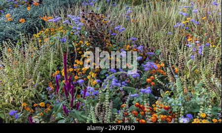 Flowers and plants in Alhambra garden, Granada, Spain. Stock Photo