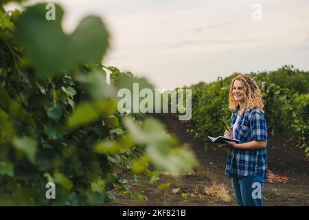Business woman agronomist studying the vines writing her observations in the notebook. Farmers woman, woman work in field with notepad. Smart farming Stock Photo
