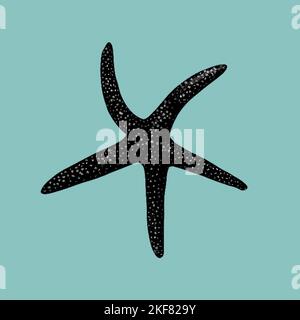 a graphic engraving of a starfish. Realistic starfish black and white illustration Stock Photo