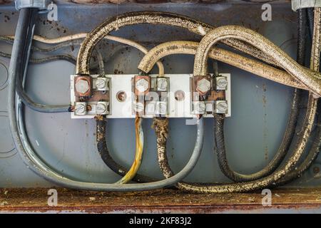 Close-up of old and dirty cloth sheathed electrical cables in an opened grey metal distribution panel inside old storage shed. Stock Photo