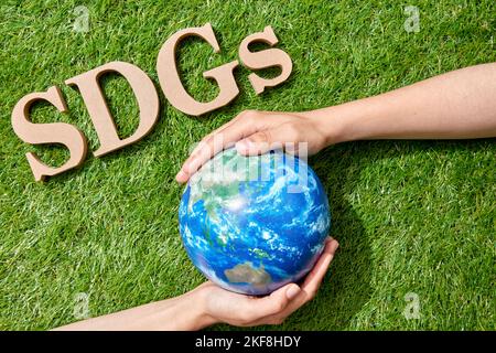 Ecology Stock Photo