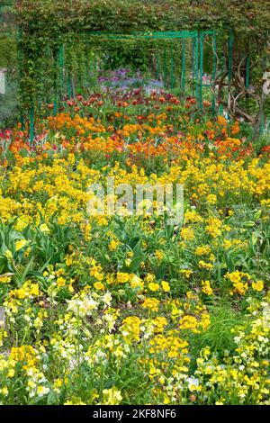 Colorful Spring blooms inside Claude Monet's garden in Giverny, France Stock Photo