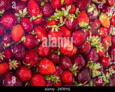 Strawberries floating over water. Macrophotography directly above view. Stock Photo