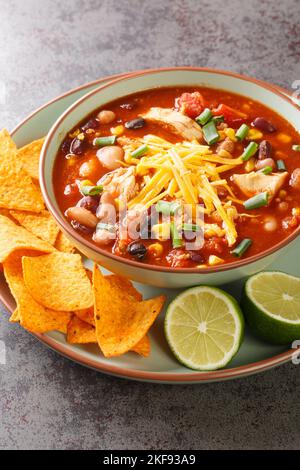 Taco chicken soup served with lime and tortilla chips close-up in a plate on the table. Vertical Stock Photo