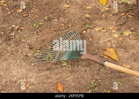 rake on the ground in autumn for harvesting autumn leaves, gardener's tools, yard cleaning Stock Photo
