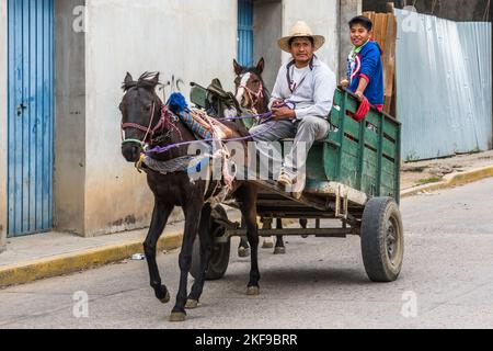 A farmer & his son on a horse-drawn wagon on the street in the town of San Antonino Castillo Velasco, Oaxaca, Mexico. Stock Photo