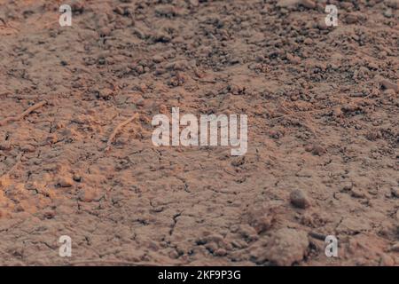 Low angle view of a muddy terrain . Concept of extreme weather events, rally and off road races. Copy space Stock Photo