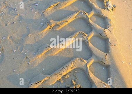 tire tracks in sand close-up across the sunlight. Road close-up. Car tire in the desert. Transportation infrastructure. Stock Photo