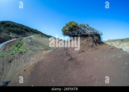 'Lunar landscape' on the Teno Upland (Paisaje Lunar En Teno Alto). Tenerife. Canary Islands. Spain. Stock Photo