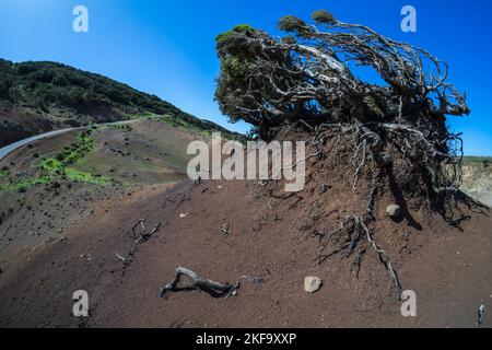 'Lunar landscape' on the Teno Upland (Paisaje Lunar En Teno Alto). Tenerife. Canary Islands. Spain. Stock Photo