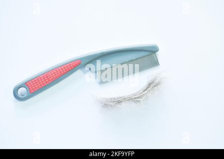 fine teeth comb red rubber handle for catching ticks or flea to dog and cat with pet fur on white background Stock Photo