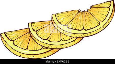 Lemon slices color Stock Vector