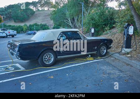 Mustang classic car converted to electric plugged into an EV charging station in Santa Rosa, California. Stock Photo