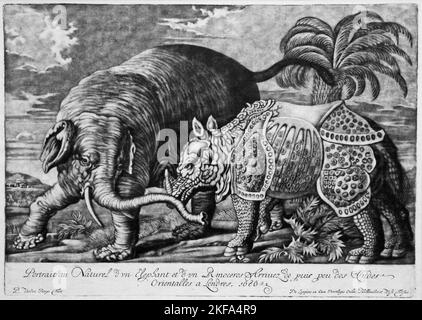 Elephant and Rhinoceros by Pieter van den Berge (1659-1737) Stock Photo