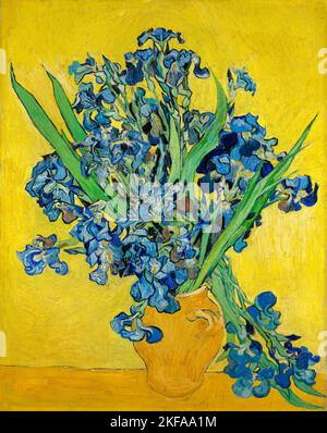 Vincent van Gogh, Irises, still life painting in oil on canvas, 1890 Stock Photo