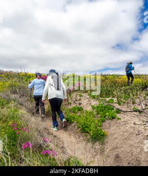 Walkers hiking the Cape to Cape Track  walking through Boranup Leeuwin-Naturaliste National Park Western Australia. Stock Photo