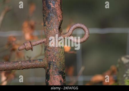 Old rusty gate hinge. Circular end of the rusty bolt hanging looses on the gate post. Green and orange background. Stock Photo