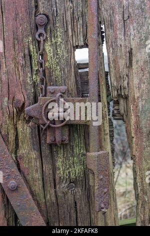Old rustic metal hinge and lock on old wooden shed. Mold and rust in the background. Stock Photo