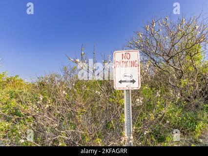 old no parking sign at gin beach, montauk, ny Stock Photo