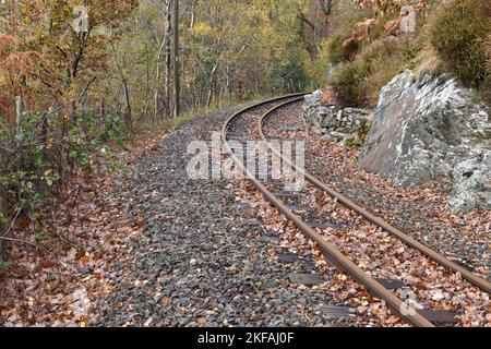 Ffestiniog Railway Through Coed Hafod Y Llyn In Autumn Stock Photo