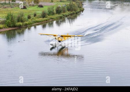 Yellow bush float plane landing on the Chena River in Alaska Stock Photo