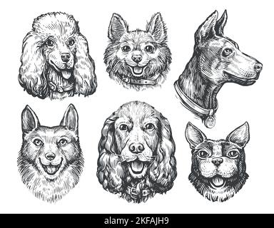 Set of dog faces. Canine breeds in doodle style. Ink hand drawn heads ...