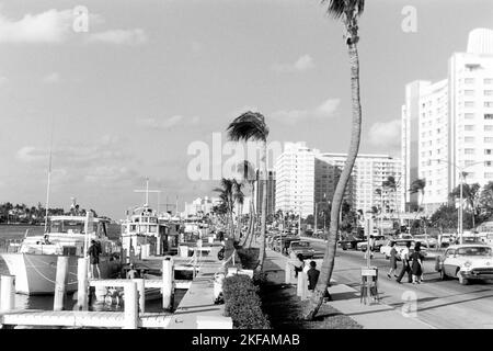 Hotels an der Collins Avenue in Bal Harbour, Miami Beach, Florida, USA 1965. Hotels on Collins Avenue in Bal Harbour, Miami Beach, Florida, USA 1965. Stock Photo