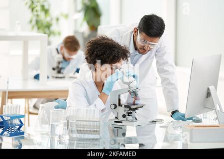 female scientist and her colleague using a microscope in the laboratory. Stock Photo