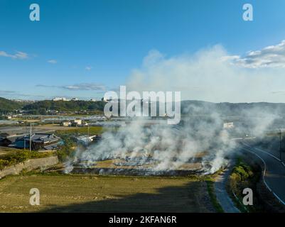 Smoke rises from controlled burn on rice field after autumn harvest Stock Photo