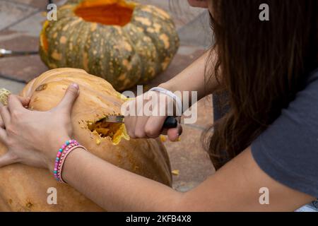 Carved Halloween pumpkin, jack lantern, with carving tools. Spooky laughing, scary head. Stock Photo