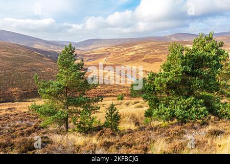 Glen Dye from the Old Military Road south of Bridge of Dye, Aberdeenshire, Scotland UK Stock Photo
