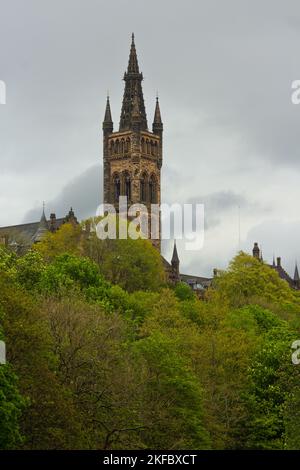 campus gardens,landscape,historic,higher education,university grounds,educational,further education,city park,education,glasgow,university,campus,scot Stock Photo