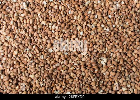 Brown beans, pinto beans, Nigerian oloyin beans, top view of beans Stock Photo