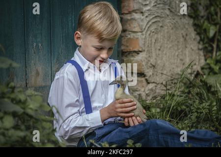 boy with Duckling Stock Photo