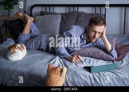 Young bearded caucasian man in pajama in the morning lying on a bed making online shopping or educating from home. Two tabby cats sitting nearby. High quality image Stock Photo
