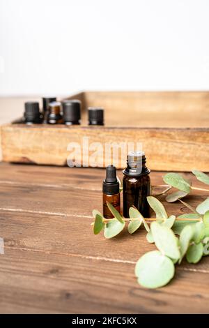 Essential oils in small glass bottles with eucalyptus sprigs on blurred grey background. Selective focus and copy space for text. Natural cosmetic pro Stock Photo