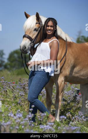 woman with Haflinger Stock Photo