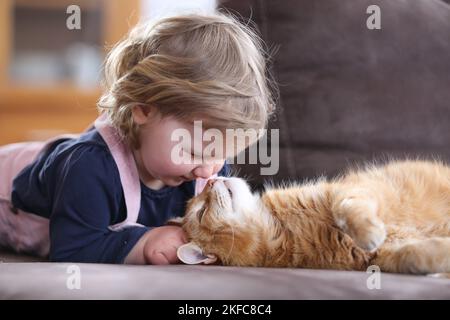 girl and cat Stock Photo