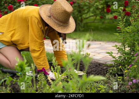 A young girl in a straw hat is engaged in gardening work, planting flower seedlings, plant seeds. Stock Photo